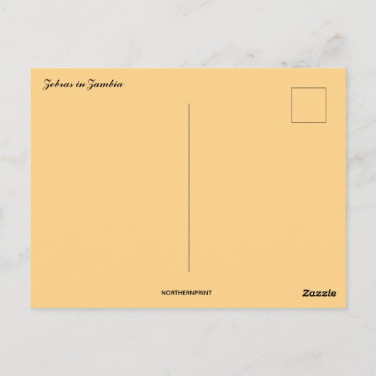 Zebras in Sambia Postkarte (Rückseite)