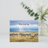 Zebras in Tansania Postkarte (Stehend Vorderseite)