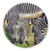 ZEBRAS KERAMIKKNAUF (Vorderseite)