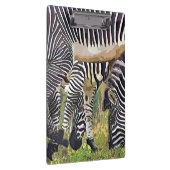 ZEBRAS KLEMMBRETT (Rechts)
