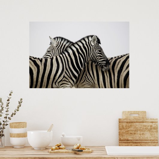 Zebras Kopf an Schwanz Poster (Küche)