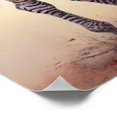 Zebras Kunst, Dichtung und Musik Poster (Ecke)