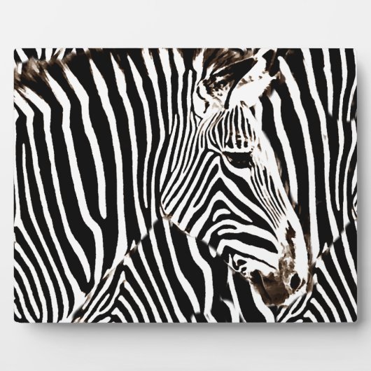 Zebras Liebe_ Fotoplatte (Vorderseite)