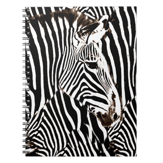 Zebras Liebe_ Notizblock (Vorderseite)