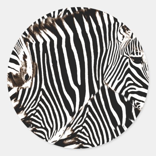 Zebras Liebe_ Runder Aufkleber (Vorderseite)