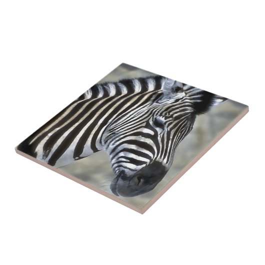 Zebras Lovers Art Fliese (Seite)