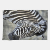 Zebras Lovers Art Küchentuch (Horizontal)