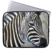 Zebras Lovers Art Laptopschutzhülle (Vorderseite)