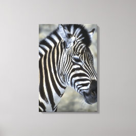 Zebras Lovers Art Leinwanddruck