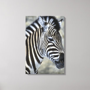 Zebras Lovers Art Leinwanddruck