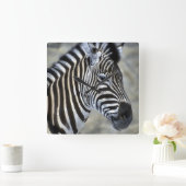 Zebras Lovers Art Quadratische Wanduhr (Zuhause)
