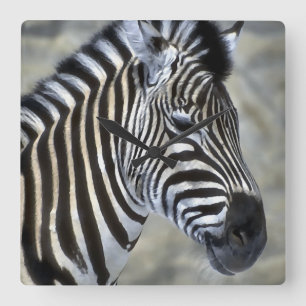 Zebras Lovers Art Quadratische Wanduhr