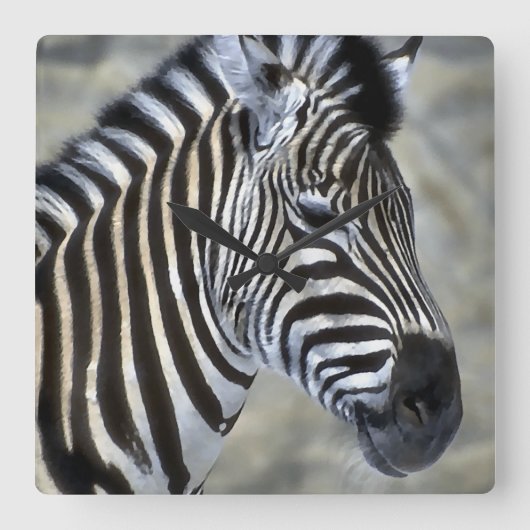 Zebras Lovers Art Quadratische Wanduhr (Vorderseite)