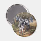 Zebras Magnet (Vorderseite/Rückseite)