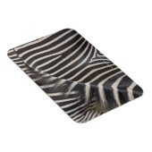 Zebras Magnet (Rechte Seite)