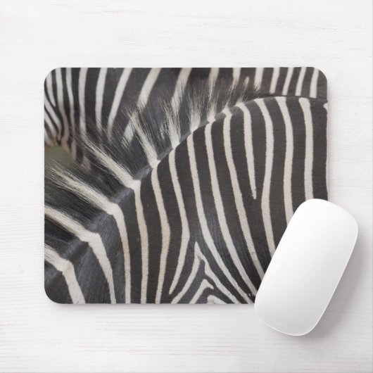 Zebras Mousepad (Mit Mouse)