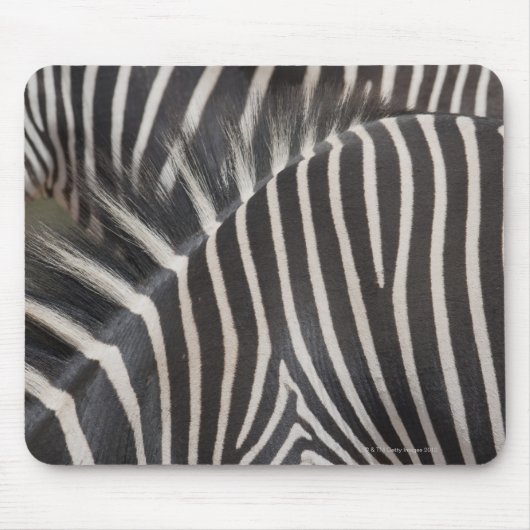Zebras Mousepad (Vorne)