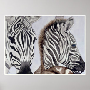 Zebras Mutter und Kind Poster