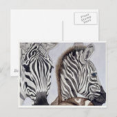 Zebras Mutter und Kind Postkarte (Vorne/Hinten)