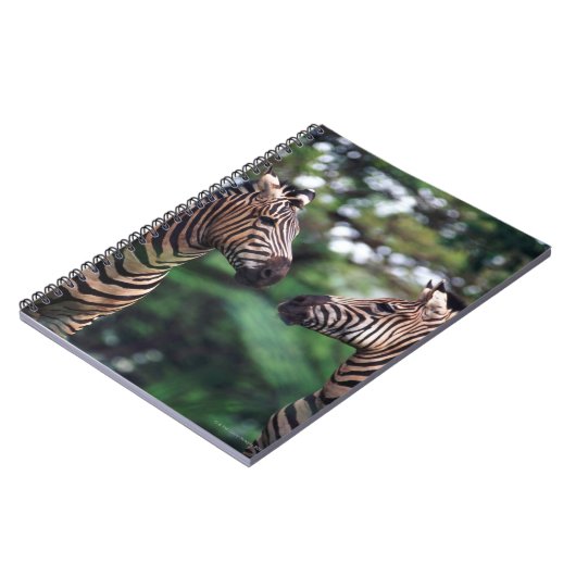 Zebras Notizblock (Linke Seite)