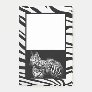 Zebras Post-it Klebezettel