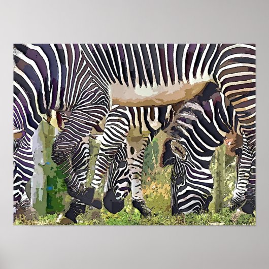 ZEBRAS POSTER (Vorne)