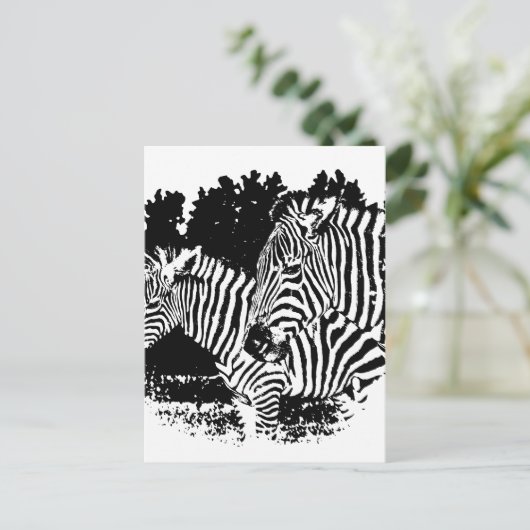 Zebras Postkarte (Stehend Vorderseite)