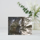 Zebras Postkarte (Stehend Vorderseite)