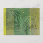 Zebras Postkarte (Vorderseite)