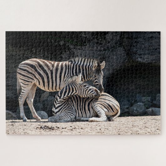 Zebras Puzzle (Horizontal)