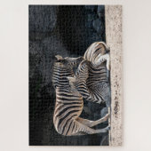 Zebras Puzzle (Vertikal)