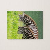 Zebras Puzzle (Horizontal)