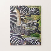 ZEBRAS PUZZLE (Vertikal)
