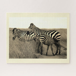 Zebras Puzzle