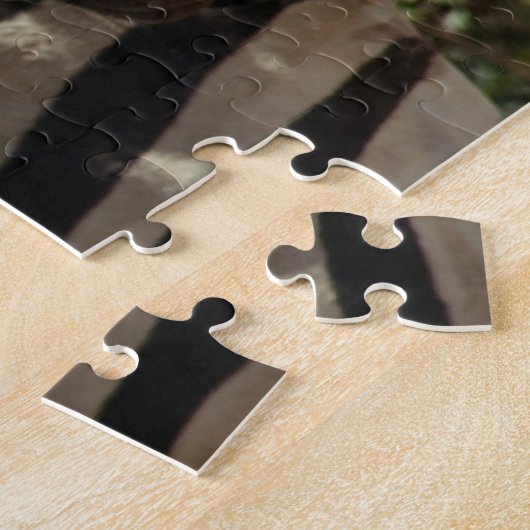 Zebras Puzzle (Seite)