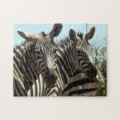 Zebras Puzzle (Horizontal)