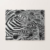 Zebras Puzzle (Horizontal)