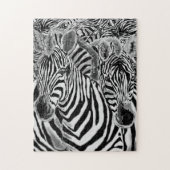 Zebras Puzzle (Vertikal)