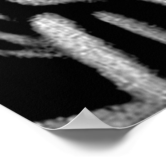 Zebras Reprint Poster (Ecke)