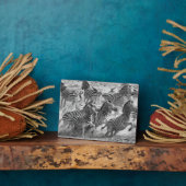 Zebras running fotoplatte (Seite)