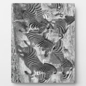 Zebras running fotoplatte (Vorderseite)