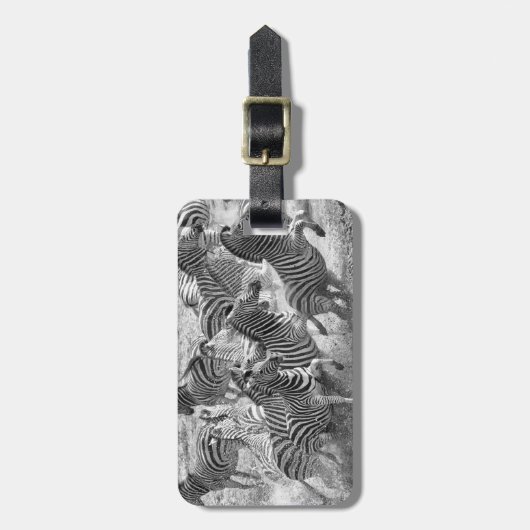 Zebras running gepäckanhänger (Vorderseite vertikal)