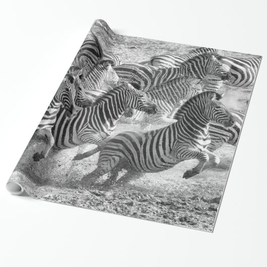 Zebras running geschenkpapier (Ungerollt)