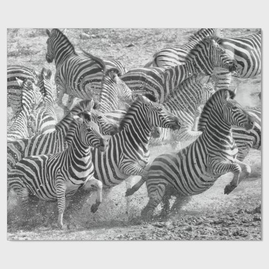 Zebras running geschenkpapier (Flach)