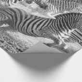 Zebras running geschenkpapier (Ecke)