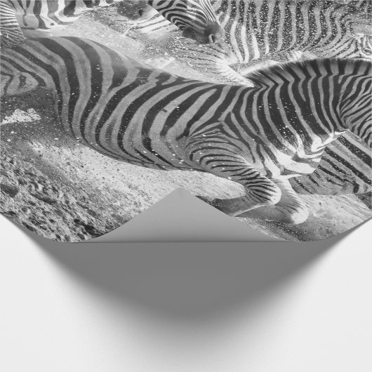 Zebras running geschenkpapier (Ecke)