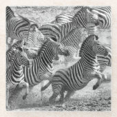 Zebras running glasuntersetzer (Vorderseite)