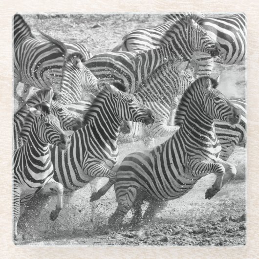 Zebras running glasuntersetzer (Vorderseite)
