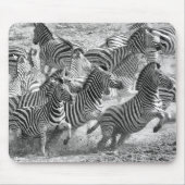 Zebras running mousepad (Vorne)