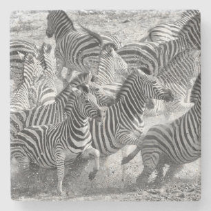 Zebras running steinuntersetzer